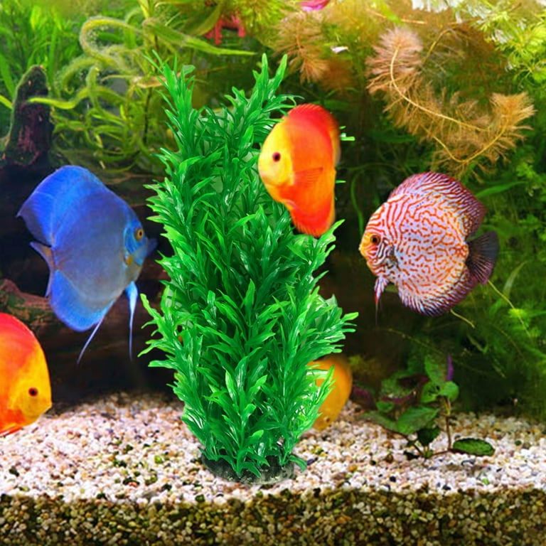 fish accessories for sale Aquarium Plants on Sale Barhoo Fish Tank Decorations Aquarium Accessories  Decoration Fish Tank Simulation Plastic Aquatic Plants Plastic Decorative  Fish Grass Clearance 1X Plastic Grass