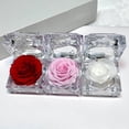 thumbnail image 4 of BESEW7 Preserved Rose Jewelry Box, Acrylic Flower Jewelry Storage for Women, Forever Flowers Necklace Holder Travel Organizer Mother's Day Gift Pink, 4 of 6