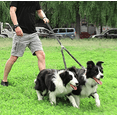 thumbnail image 6 of Pet Dog Double Leashes - No Tangle Dog Leash Coupler, Comfortable Shock Absorbing Reflective Bungee Lead for Nighttime Safety, Dual Dog Training Leash for Small, Medium & Large Dogs, 6 of 7