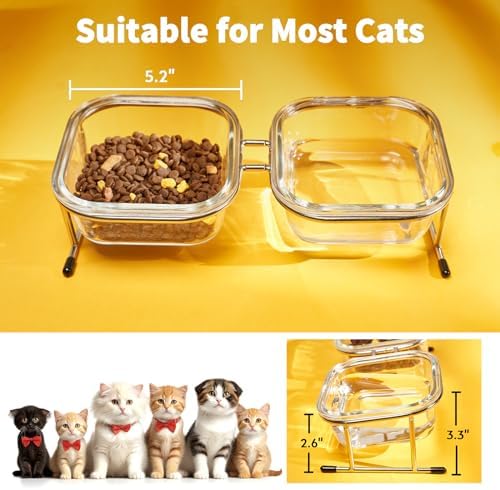 Elevated Cat Bowls, 15° Tilted Glass Raised Cat Food Bowl with Stainless Steel Stand, 2 Large Capacity Glass Cat Bowls and 4 Anti Slip Feet, Suitable for Cats and Little Dogs