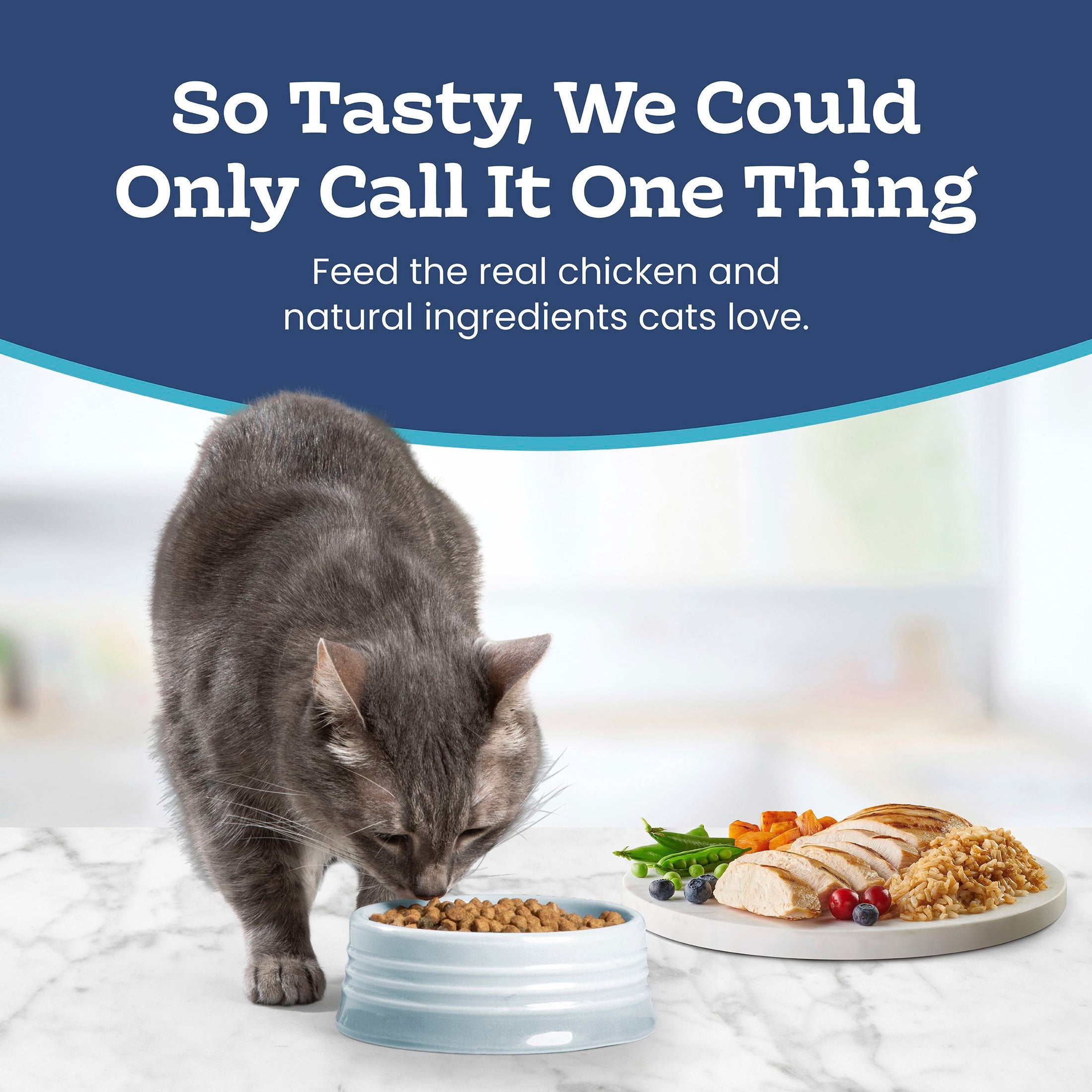 Blue Buffalo Tastefuls Adult Sensitive Stomach Dry Cat Food, Chicken & Brown Rice 10lb Bag