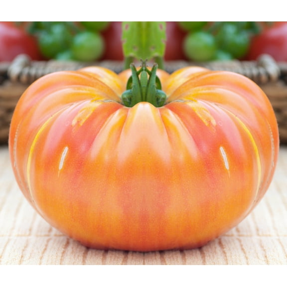 50 Seeds OAXACAN JEWEL TOMATO Bicolor Golden Yellow Striped Red Mexican Lycopersicon Vegetable Seeds