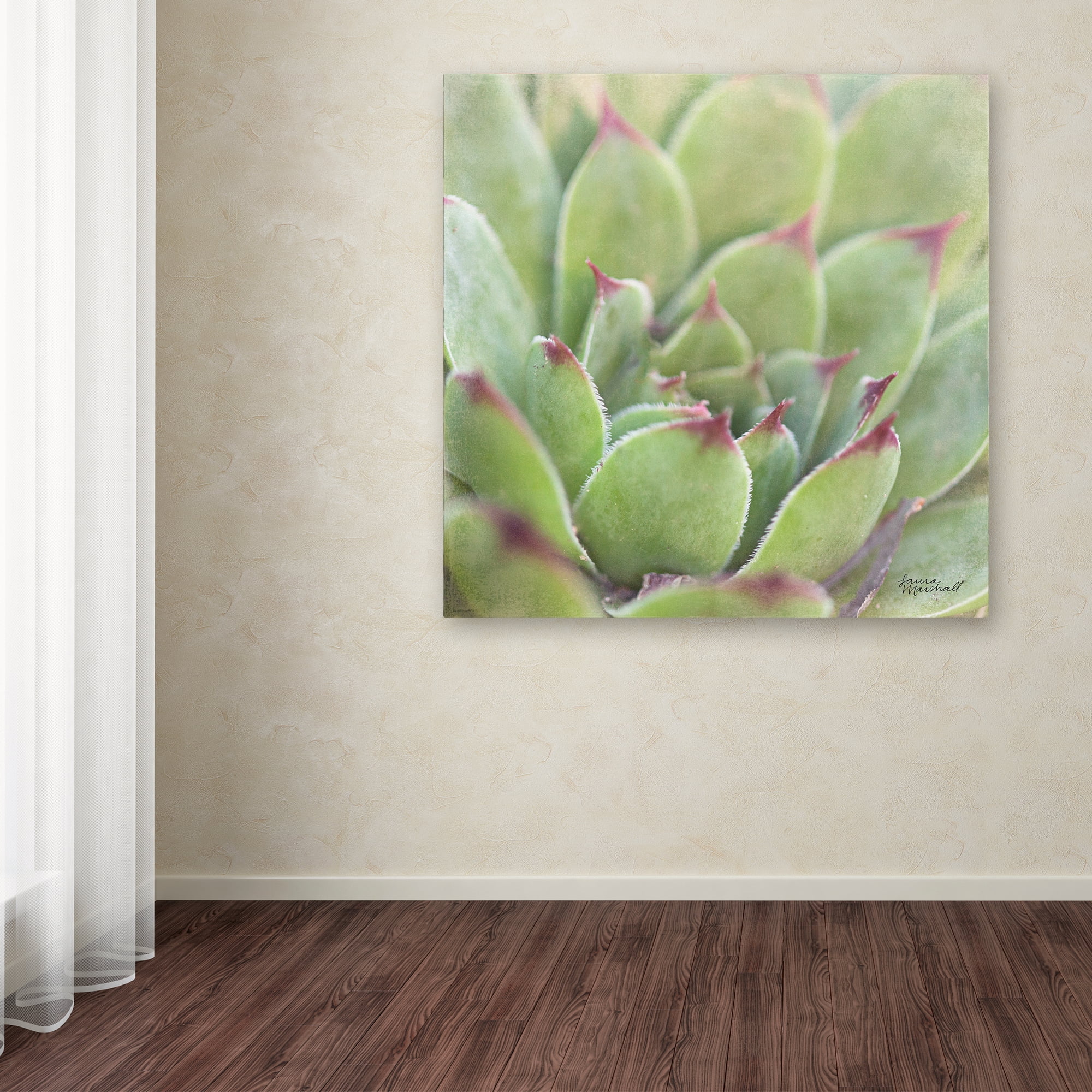 Trademark Fine Art 'Garden Succulents I Color' Canvas Art by Laura Marshall