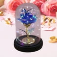 thumbnail image 3 of DefiDgd Valentine's Day Rose Gifts for Women,Glass Rose Flower Light Up Rose in Glass Dome,Birthday Xmas Valentines Gifts for Women Mom Wife Grandma(B), 3 of 7
