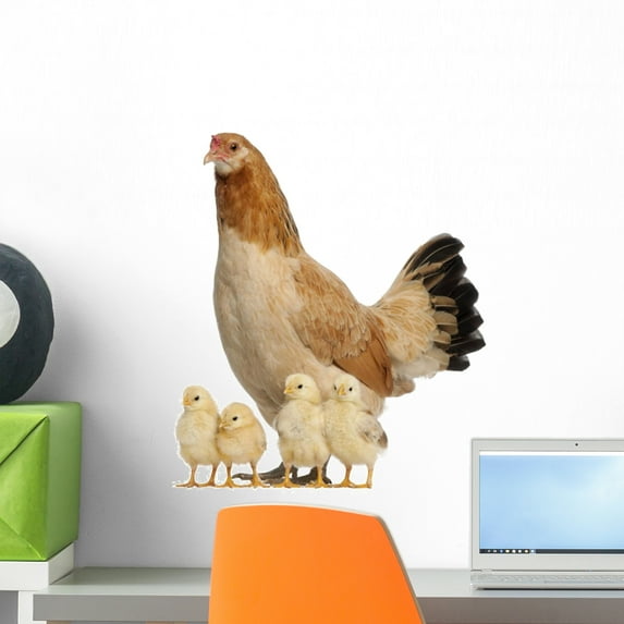 Hen with Its Chicks Wall Decal by Wallmonkeys Peel and Stick Graphic (18 in H x 16 in W) WM86467