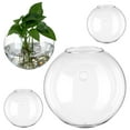 thumbnail image 5 of HONMEET 4-Pack Transparent Glass Wall for Indoor Plants, Modern Elegant Design, Easy to and Display, 5 of 8