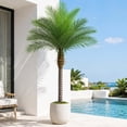 thumbnail image 3 of 7ft Artificial Phoenix Palm Tree, Tall Faux Palm Plant with 15 Adjustable Leaves, Perfect for Outside Patio, Poolside, Home Office, Living Room, Yard Decor, 3 of 9