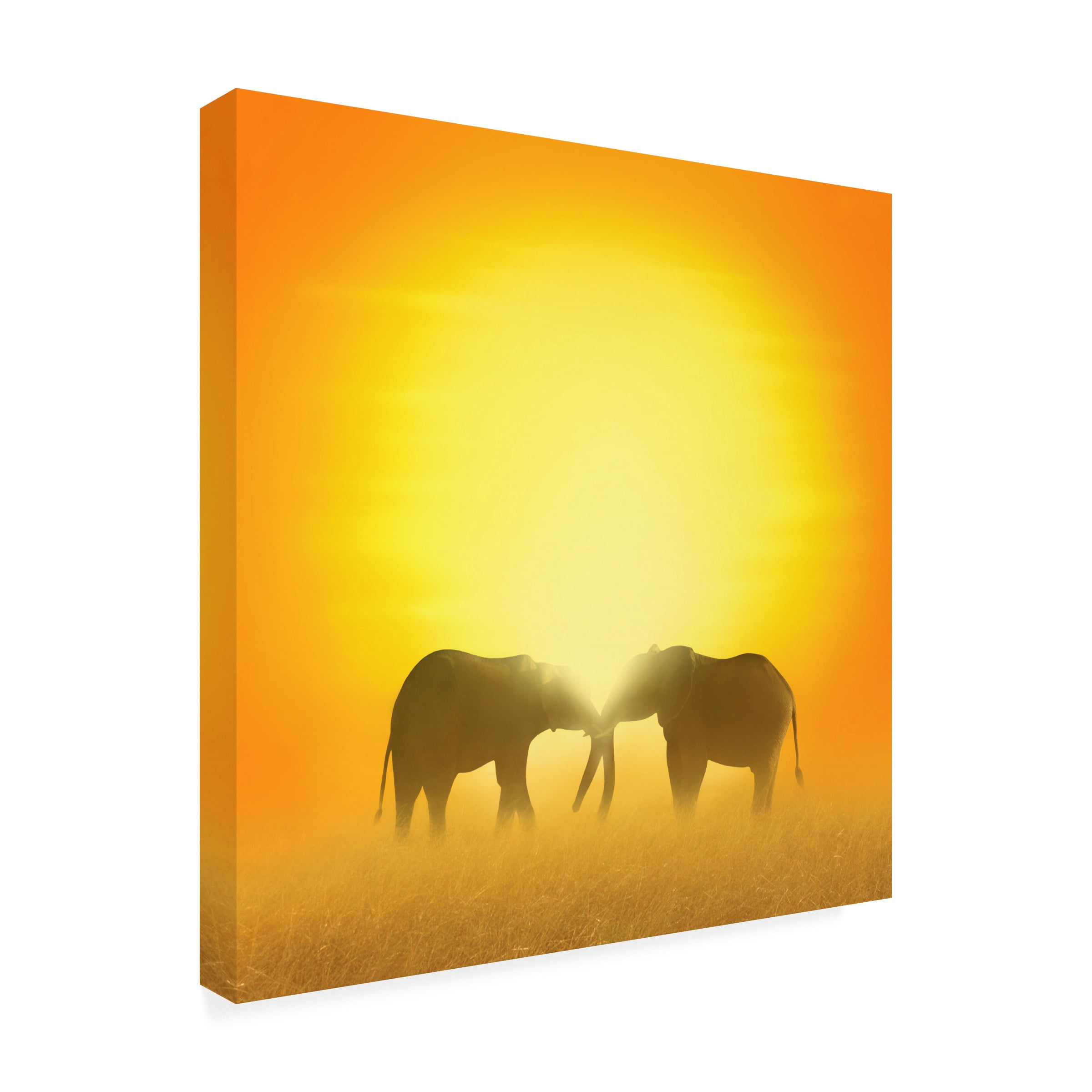 Ben Heine 'In Love' Canvas Art