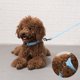 thumbnail image 4 of Xihbxyly Collar Led para Perro, Recargable Por Usb, Gran Visibilidad, Ajustable E Impermeable, para Paseos Nocturnos Seguros, 3 Modos de Brillo, Rojo, Azul y Rosa, Talla Única, 41 X 41 X 2,5 Cm, 4 of 7