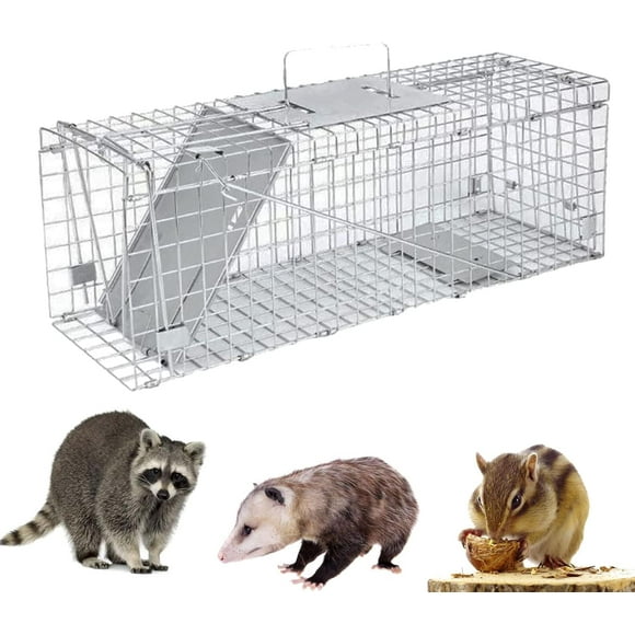 Squirrel Traps