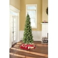 thumbnail image 4 of Holiday Time Brinkley 7' Pre-Lit Pencil Pine Christmas Tree - Green, 4 of 5