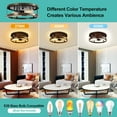thumbnail image 3 of Aiwen 2 Lights Open Caged Flush Mount Ceiling Lamp Vintage Home Decor Light Fixture, 3 of 10