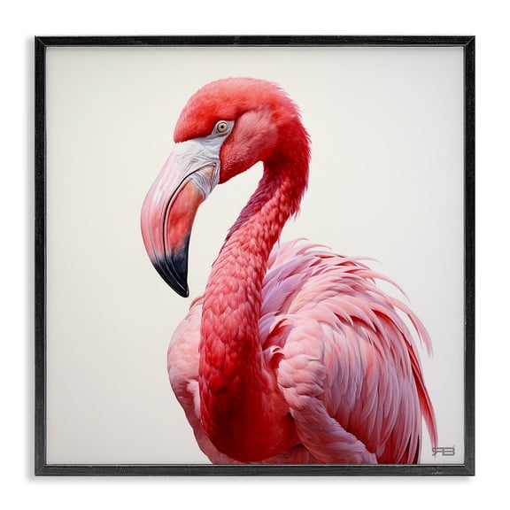 Stupell Industries Transitional Traditional Flamingo Portrait Black Framed Giclee Art, 12 x 12, by RB