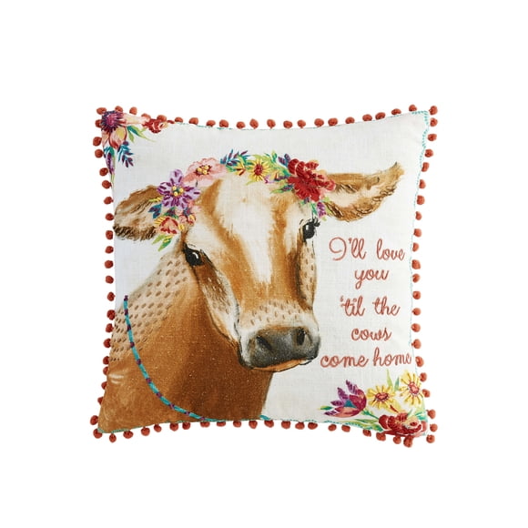 Pioneer Woman Decorative Pillows