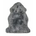 thumbnail image 1 of Natural Milan Sheepskin Single Rug | 2'x3' | A, 1 of 1