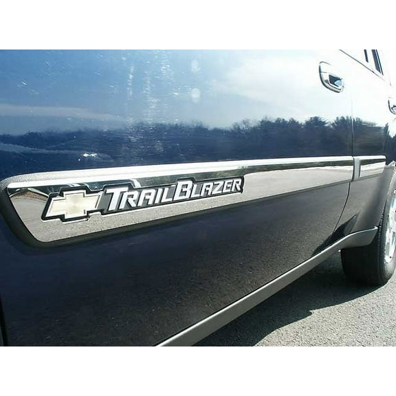 Stainless Rocker Panel Trim 4Pc Fits 2002-2005 Chevy Trailblazer TH42165 QAA