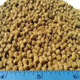thumbnail image 2 of Alimento para peces Aquatic Foods Inc. 3 mm 40 % proteína 227 g, 2 of 2