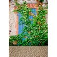thumbnail image 2 of Telón de Fondo Fotografía ABPHQTO 150x220cm Ventana e Hiedra Piedra Pared de Ladrillo, 2 of 2