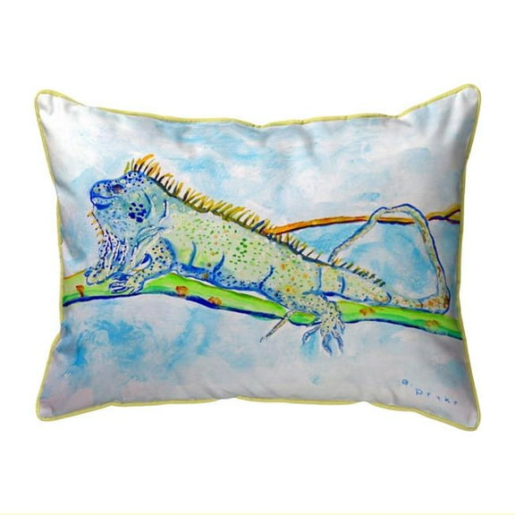 Betsy Drake ZP770 20 x 24 in. Iguana Extra Large Pillow