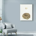 thumbnail image 3 of Trademark Fine Art 'Spring Nest III' Canvas Art by Wild Apple Portfolio, 3 of 3