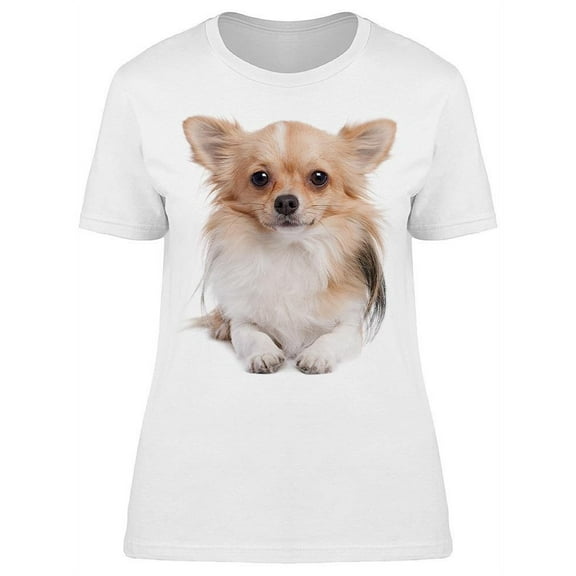 Long Haired Chihuahua, Laid Down T-Shirt Women -Image by Shutterstock, Female Large