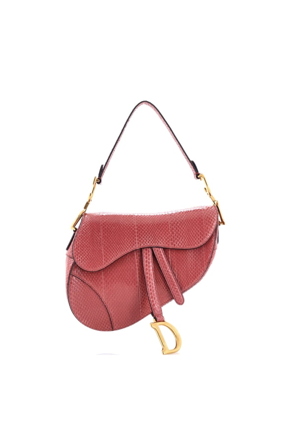 Pre-Owned Saddle Handbag Python Medium By Rebag