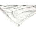 thumbnail image 2 of Harry Potter Wizard In Training Kids Silk Touch Throw Blanket, 2 of 4