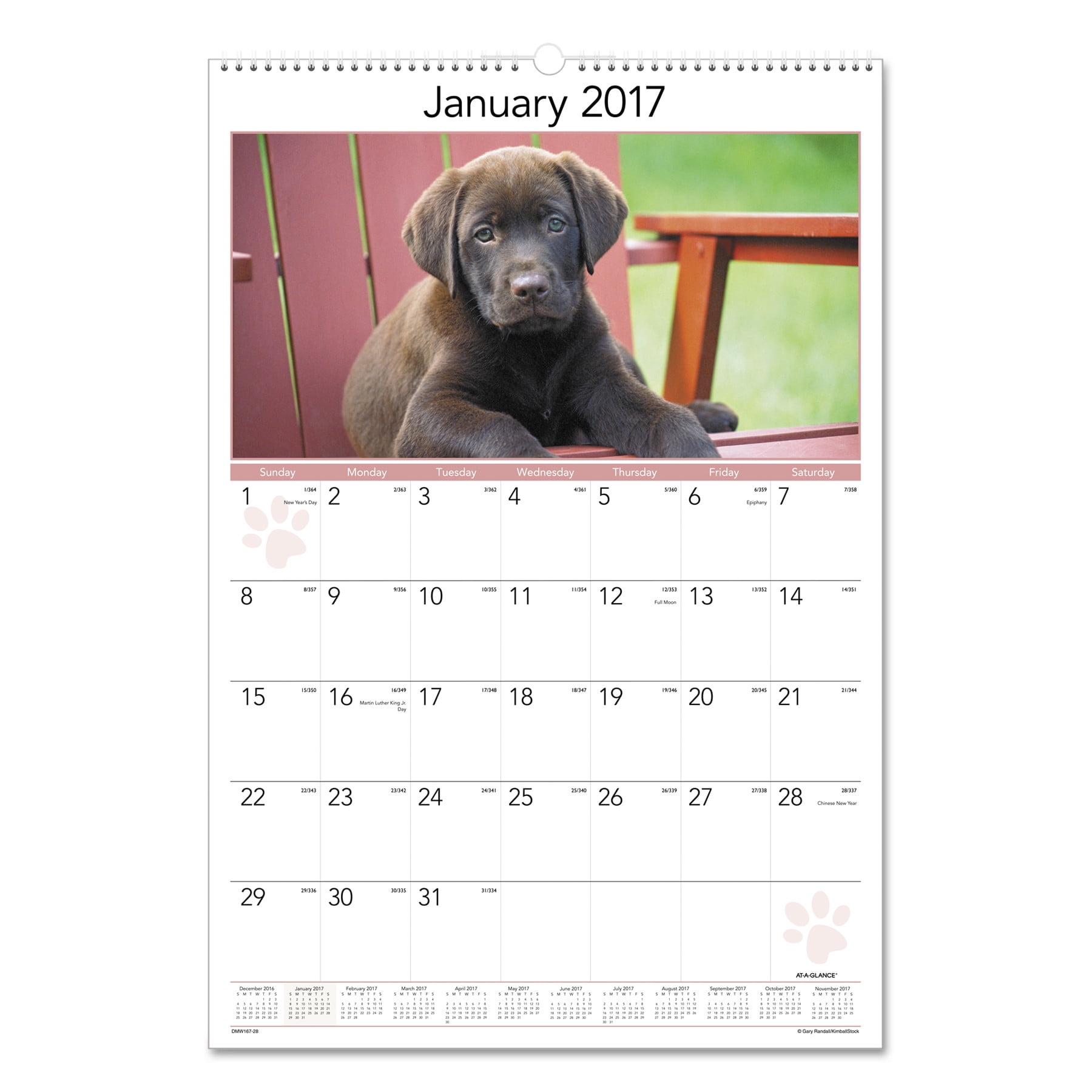 AT-A-GLANCE Puppies Monthly Wall Calendar, 15 1/2 x 22 3/4, 2018 ...