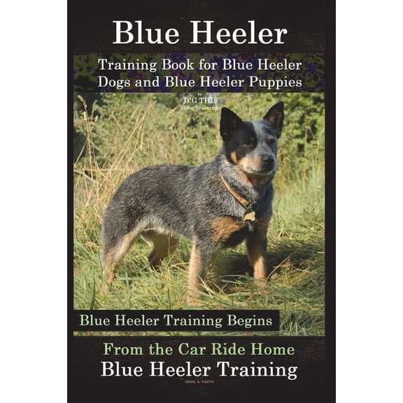 Blue Heeler Training Book for Blue Heeler Dogs and Blue Heeler Puppies By D!G THIS Dog Training: Blue Heeler Training Begins From the Car Ride Home Blue Heeler Training (Paperback)
