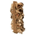 thumbnail image 4 of Vickerman 10-12" Natural Giant Seed Pod Segment - small, 1 piece, Dried, 4 of 5