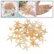 thumbnail image 5 of Conchas De Estrella De Mar Naturales, Exhibición De Boda, Decoración Artesanal Para Acuario, 2-3cm, 50 Uds. Sunnimix artesanías conchas marinas, 5 of 8