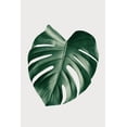 thumbnail image 2 of 1x Studio III 23x32 Black Ornate Wood Framed with Double Matting Museum Art Print Titled - Monstera Natural 23, 2 of 4