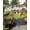 Beige, variant on Palm Leaves Sun Sail Shades Rectangle Canopy,Sunlight Block Heavy Duty Curved Backyard Shade Cover,Summer Botanical Tropical Plants Rustic Waterproof Sun Shades for Patios Garden Pergola 8'x10'