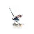 thumbnail image 2 of Shefranov, Olga 12x14 White Modern Wood Framed Museum Art Print Titled - Perched Bird V, 2 of 4