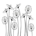 thumbnail image 3 of Black and White Duvet Cover Set King Size, Meadow Flowers with Stylized Abstract Dandelions in Countryside Artwork, Decorative 3 Piece Bedding Set with 2 Pillow Shams, Black White, by Ambesonne, 3 of 3