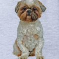 thumbnail image 2 of CafePress - FIN Lhasa Apso - Cute Infant Baby Football Bodysuit, 2 of 3