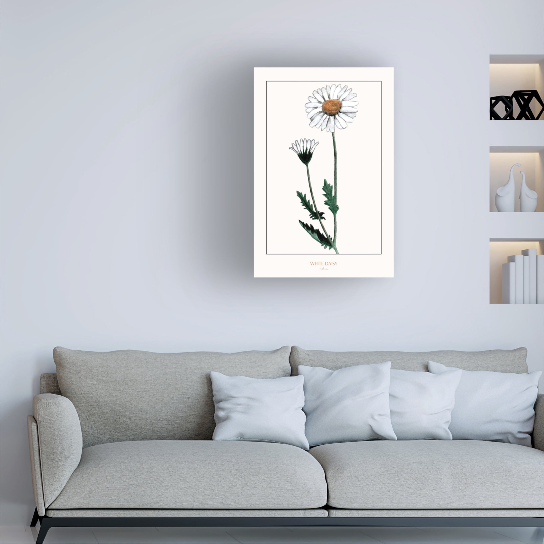 Trademark Fine Art Annika John White daisy Canvas Wall Art