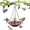 B Purple, variant on LEJHVAQK Solar Cascade Hanging Bird Bath Fountain,Outdoor Hanging Bird Bath with Solars Pump & Glass Bowl,Attracting Wild Birds and Hummingbirds for Outdoor Garden Backyard Patio Lawn (A Pink)