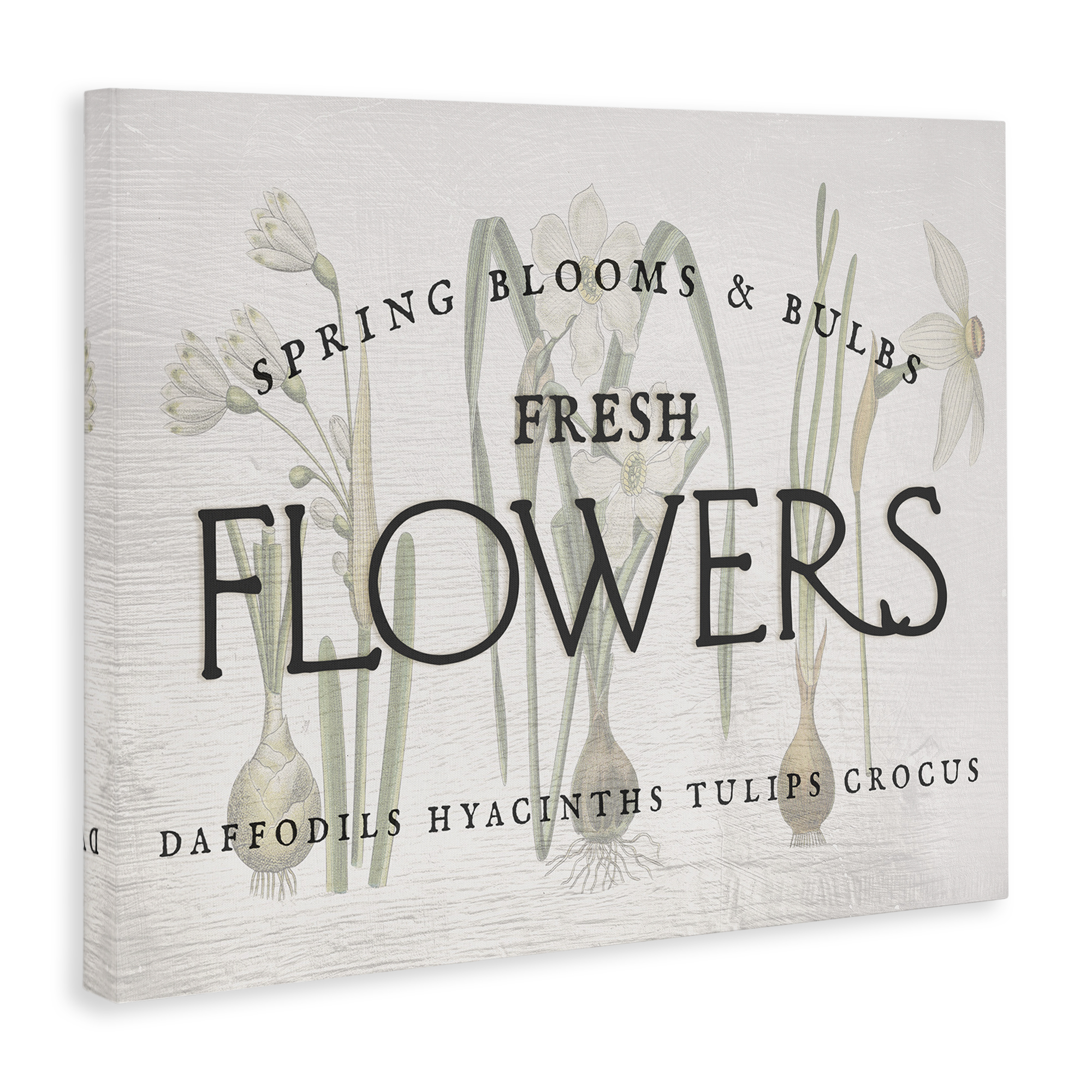 Stupell Industries Fresh Flowers Market Typography Painting Gallery Wrapped Canvas Art Print Wall Art, 30 x 24