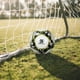 thumbnail image 5 of BALON DE FUTBOL SOCCER No. 5 MARCA LE SHARK, 5 of 5