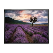Designart 'Lavender Field At Sunrise III' Farmhouse Framed Canvas Wall Art Print