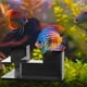 thumbnail image 4 of 2pcs Aquarium Landscape Tunnel for Multi-Functional Shrimp Cave Fish Tank Furniture Accessories, 4 of 5