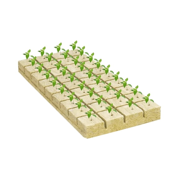 HXRH Set of 50 Portable Rockwool Cubes Seed Starter Grow Cubes,1x1In RockWool Planting Cubes for Soilless Culture Plant Propagation