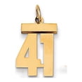 thumbnail image 2 of 14k Yellow Gold Small Polished Number 41 Charm Pendant, 2 of 3