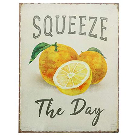 Barnyard Designs Squeeze The Day Funny Retro Vintage Tin Bar Sign Country Home Decor 13