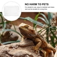 thumbnail image 3 of HEANUJJ 1Pack Small Terrarium Acrylic for Reptile Observation by Pet Owners, 3 of 8
