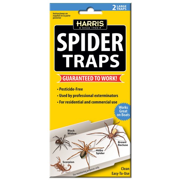 Spider Trap (2 Pack)