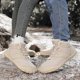thumbnail image 5 of Zapatos Nieve para Tobillo Botas Invierno Antideslizantes Cómodas Y Senderismo, 5 of 9