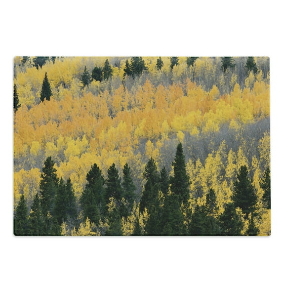Fall Cutting Board, Colorful Aspen Forest in Colorado Rocky Mountains Western Wilderness USA Theme, Decorative Tempered Glass Cutting and Serving Board, Large Size, Green Yellow Grey, by Ambesonne