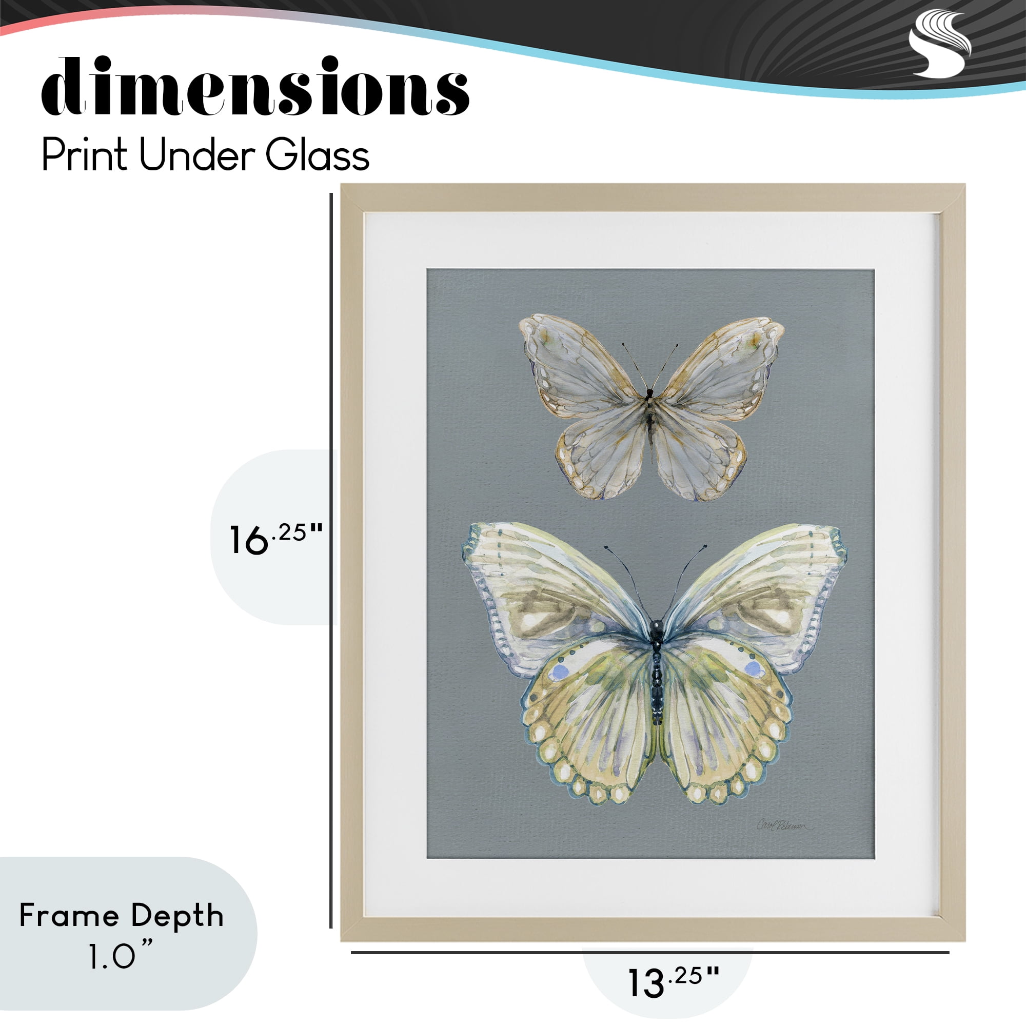 Stupell Industries Butterfly Pair Study Birch Framed Print Under Glass, design by Carol Robinson